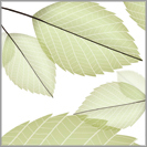 Natural Leaves Glass Cladding